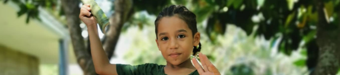 banner